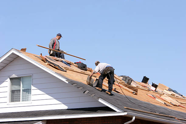 Reliable Cortland, IL  Roofing repair and installation Solutions